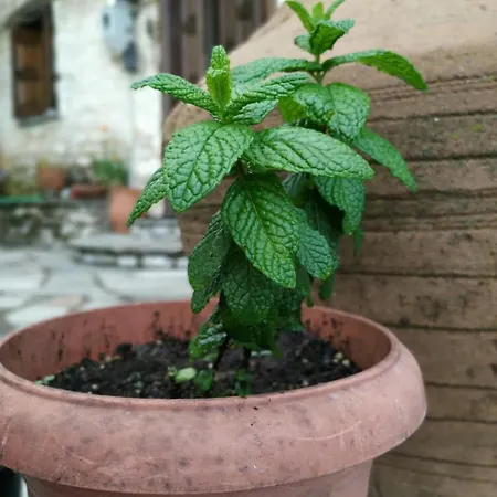 Stonehouse - The Secret Place Σπίτι διακοπών *