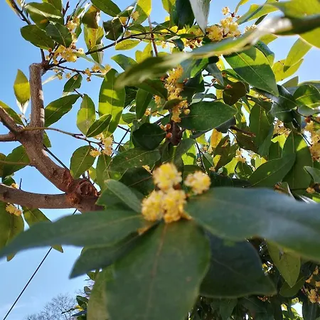 Stonehouse - The Secret Place