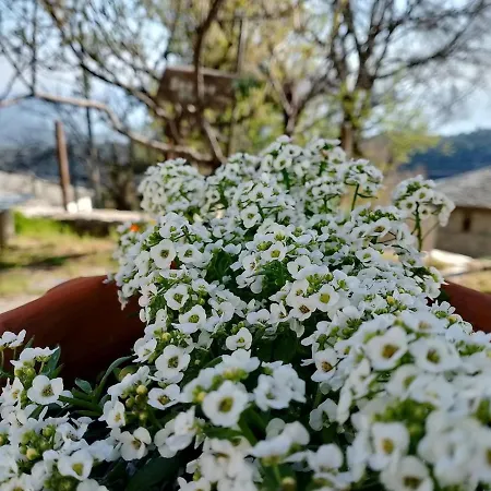 Stonehouse - The Secret Place Σπίτι διακοπών