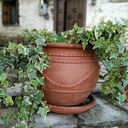 Σπίτι διακοπών Stonehouse - The Secret Place Βυζίτσα