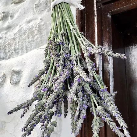 Σπίτι διακοπών Stonehouse - The Secret Place