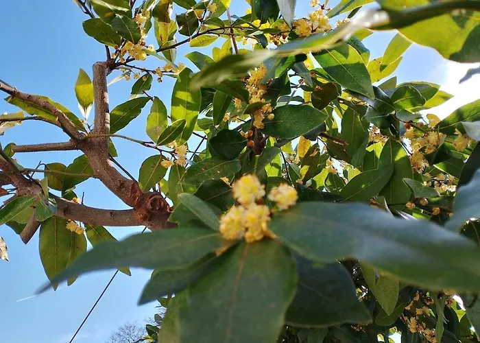 Stonehouse - The Secret Place