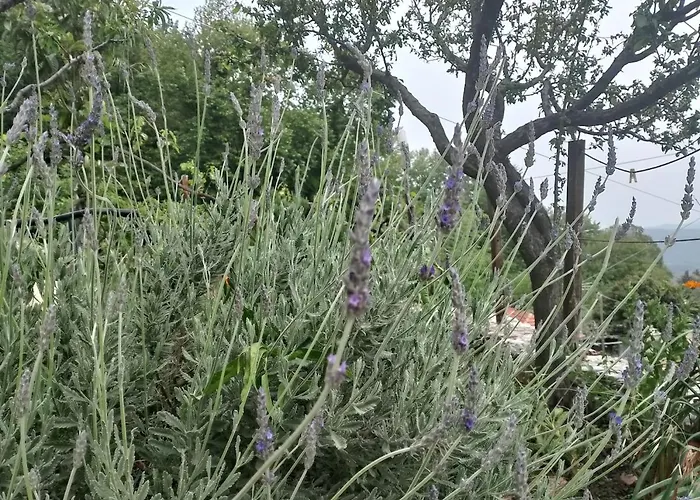 Stonehouse - The Secret Place *