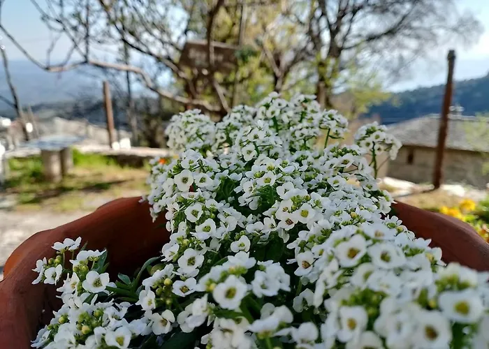 Stonehouse - The Secret Place Case de vacanță