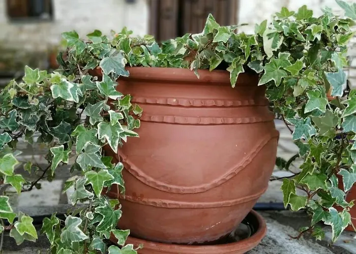 Case de vacanță Stonehouse - The Secret Place Vizitsa