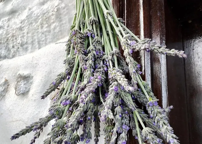 Case de vacanță Stonehouse - The Secret Place