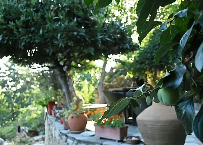 Stonehouse - The Secret Place Case de vacanță